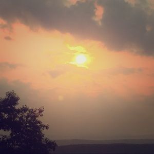 Meet your Posher, Tae